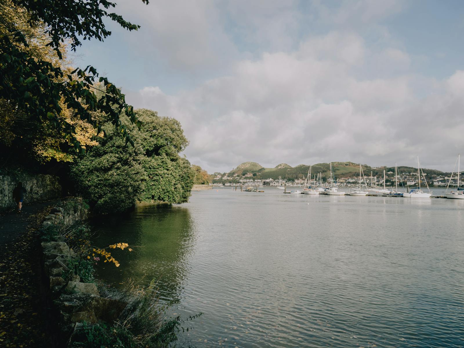 Tranquil scene of boats moored at Conwy Marina with lush trees and hills in the distance.