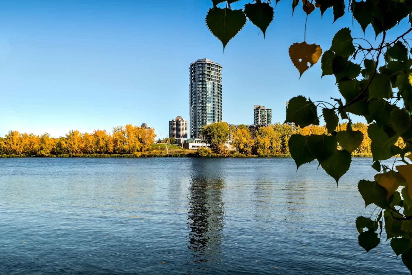 Scenic view of high-rise buildings and autumn foliage reflecting in a Montreal river.