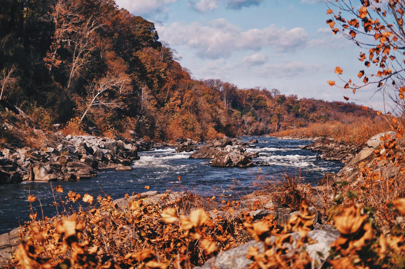 Scenic view of a river flowing amidst autumn foliage in Arlington, Virginia. Perfect fall ambiance.
