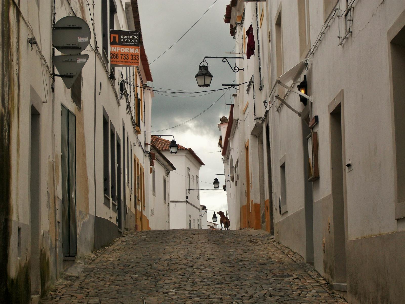 Explore the historic cobblestone streets of Évora, Portugal, lined with traditional architecture.