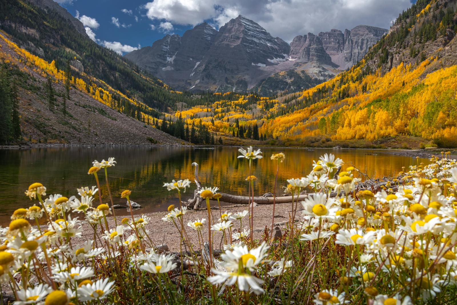 Vibrant autumn colors surround Maroon Bells reflecting in a tranquil lake with wildflowers in the foreground.