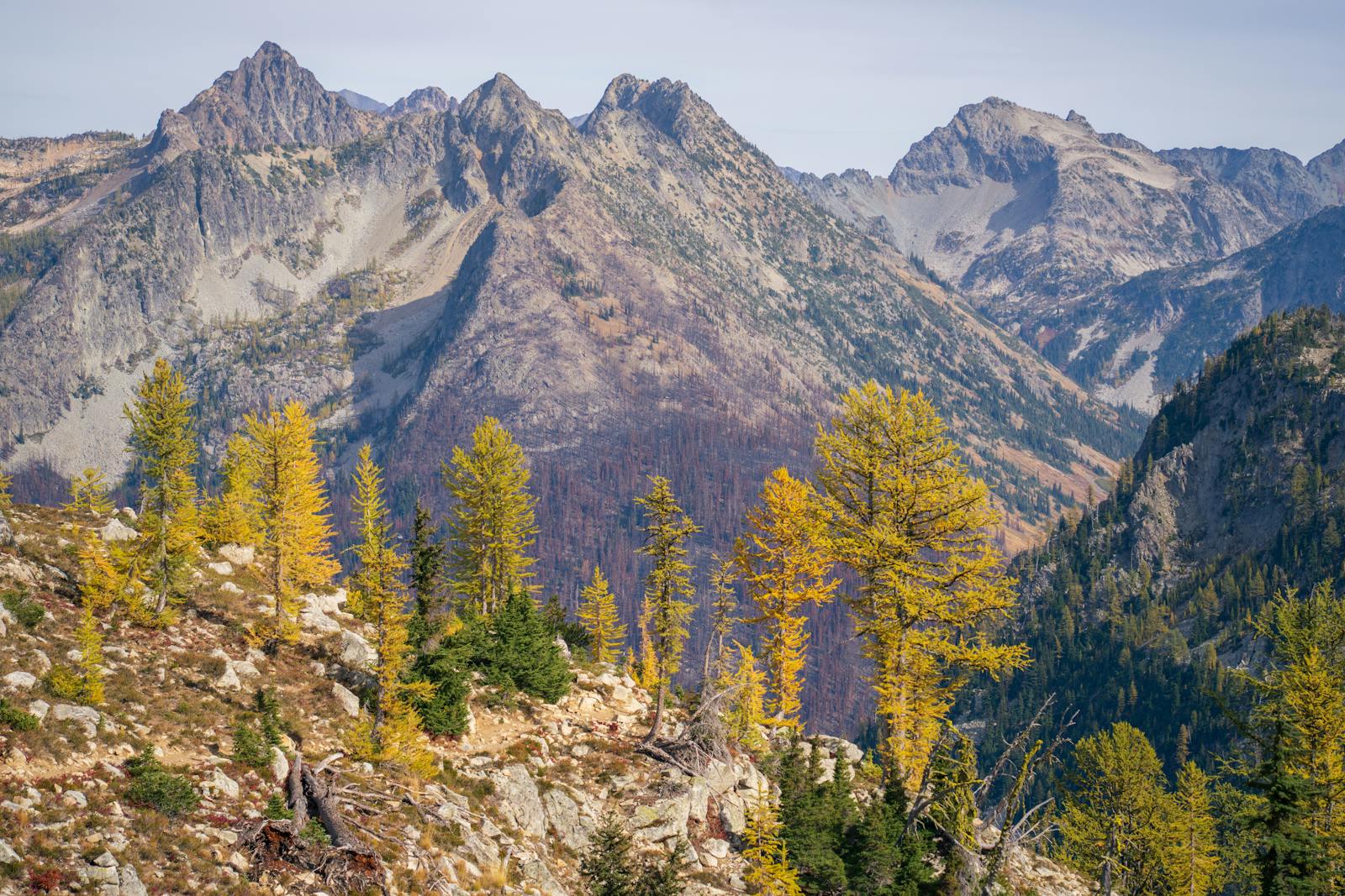 Explore the serene wilderness of Washington's North Cascades in autumn, featuring vivid larch trees and majestic mountains.