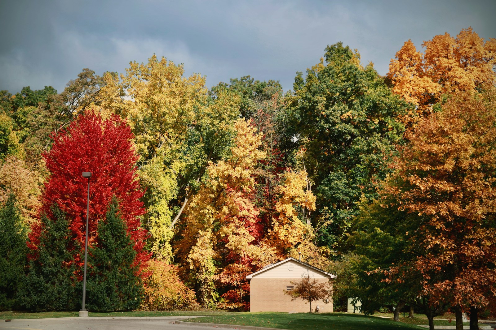 a small house in the middle of a lot of trees