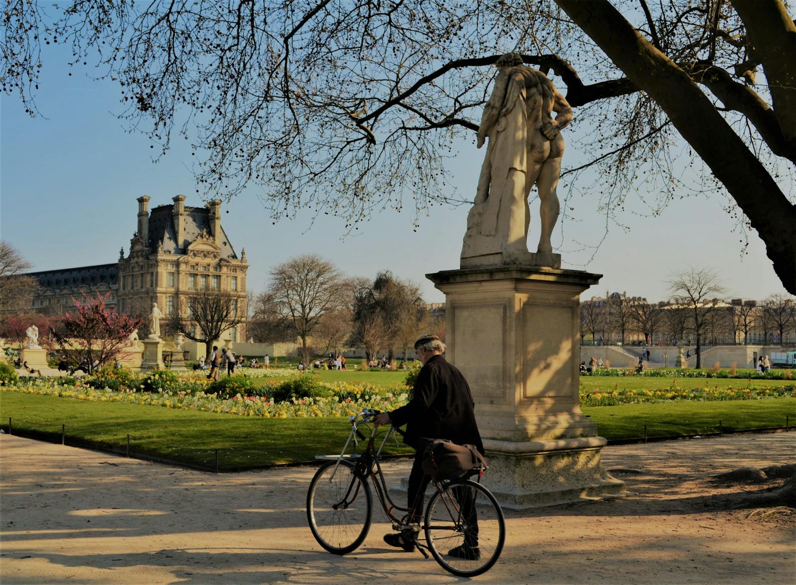 A serene scene of a cyclist passing a statue in the Tuileries Garden with the Louvre Palace in the background.