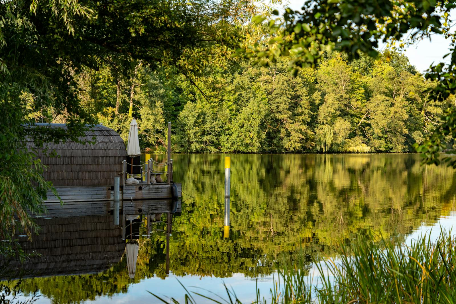 Peaceful lakeside setting with a wooden deck and lush greenery, ideal for relaxation.