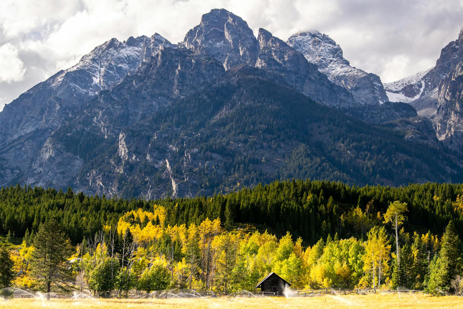 Majestic mountain backdrop with lush forest and solitary cabin in foreground.