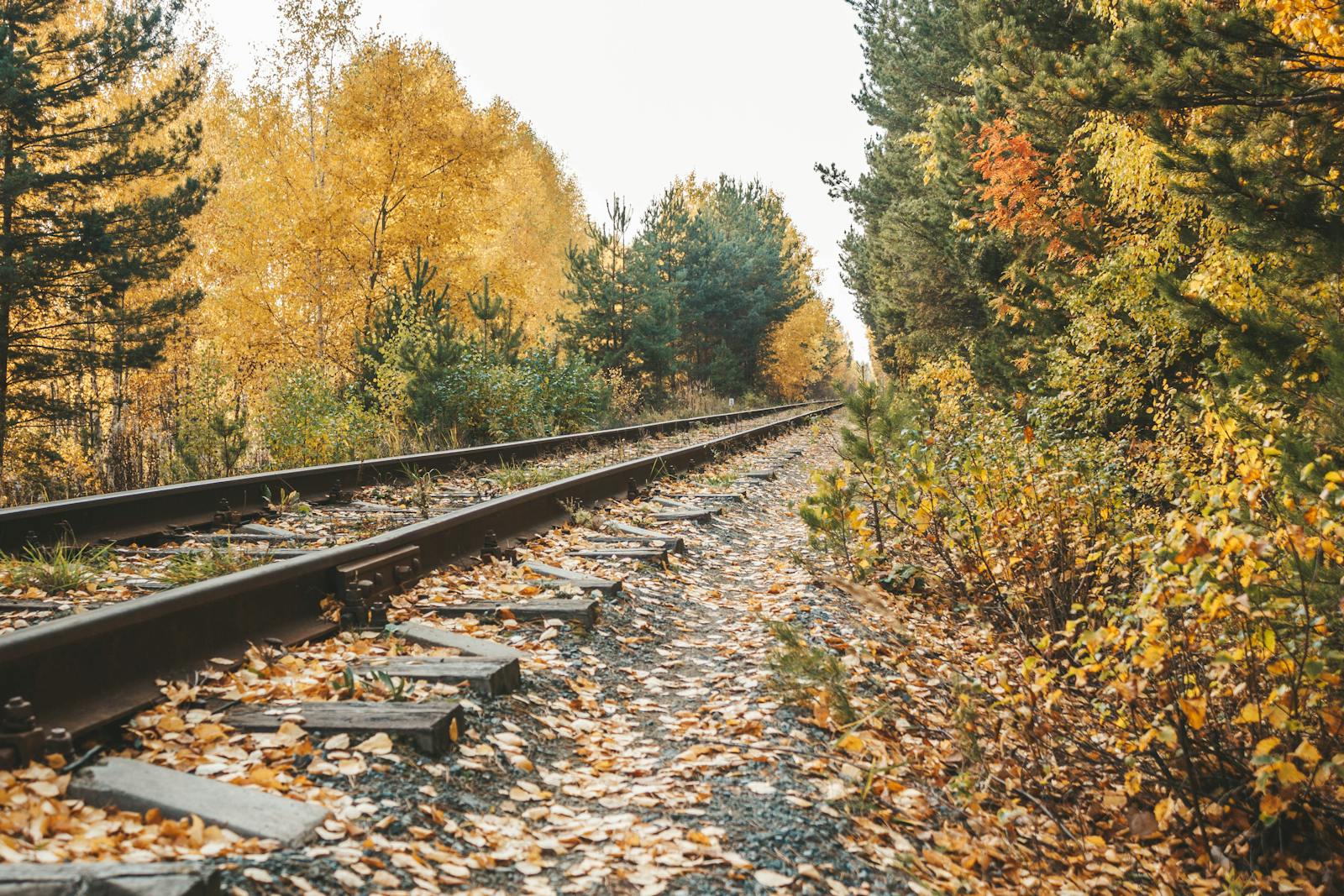 Rustic railway track through vivid fall foliage in Tyumen, capturing a serene autumn landscape.