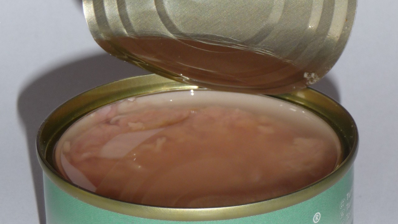 Image Credit: I would appreciate being notified if you use my work outside Wikimedia.
Do not copy this image illegally by ignoring the terms of the license below, as it is not in the public domain. If you would like special permission to use, license, or purchase the image please contact me to negotiate terms.
More of my work can be found in my personal gallery. - CC BY-SA 3.0/Wiki Commons