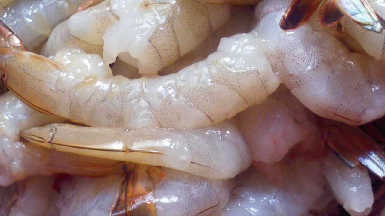 Image Credit: Perplexing - CC BY 3.0/Wiki Commons