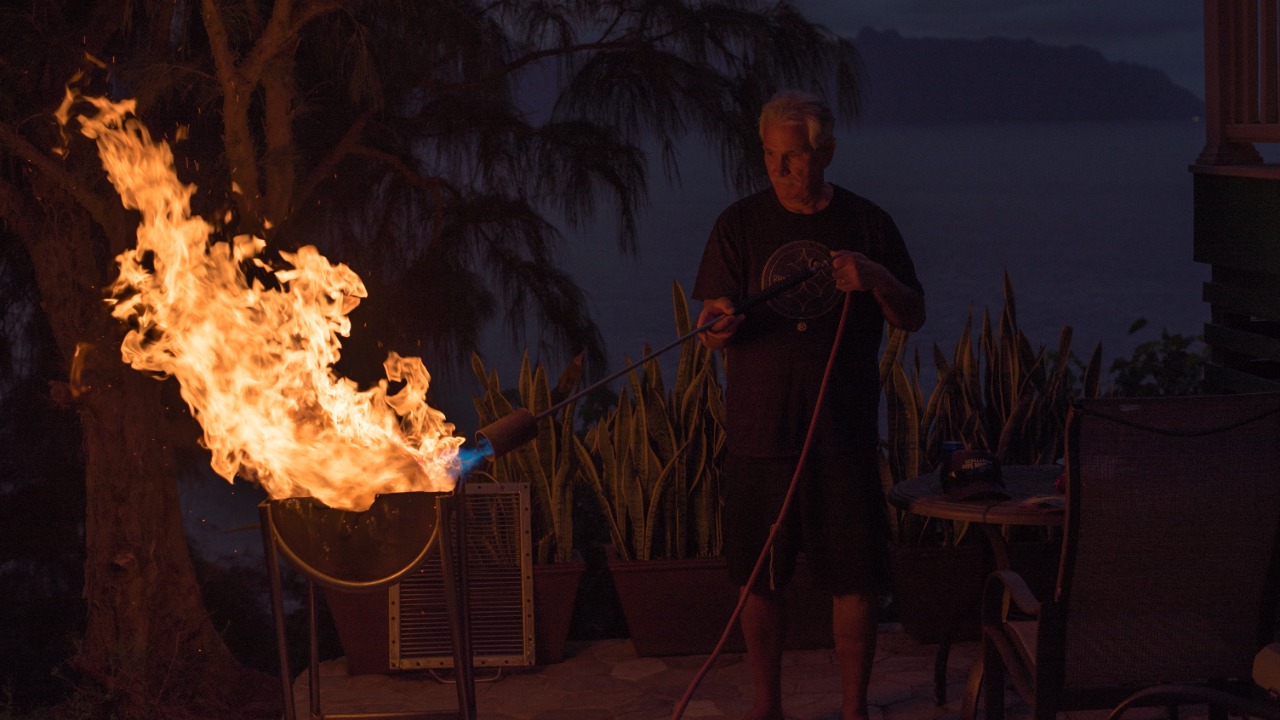 Image Credit: Jason Jacobs from Honolulu, USA - CC BY 2.0/Wiki Commons