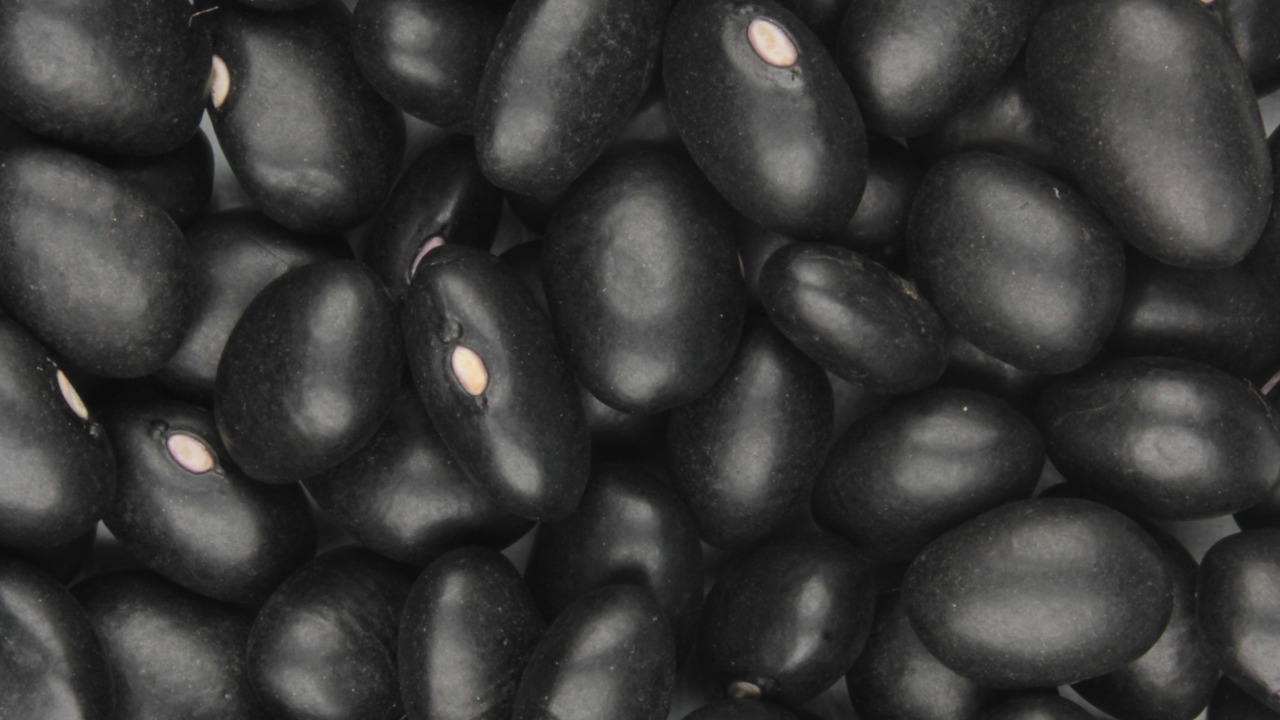 Image Credit: Bean appreciator - CC0/Wiki Commons