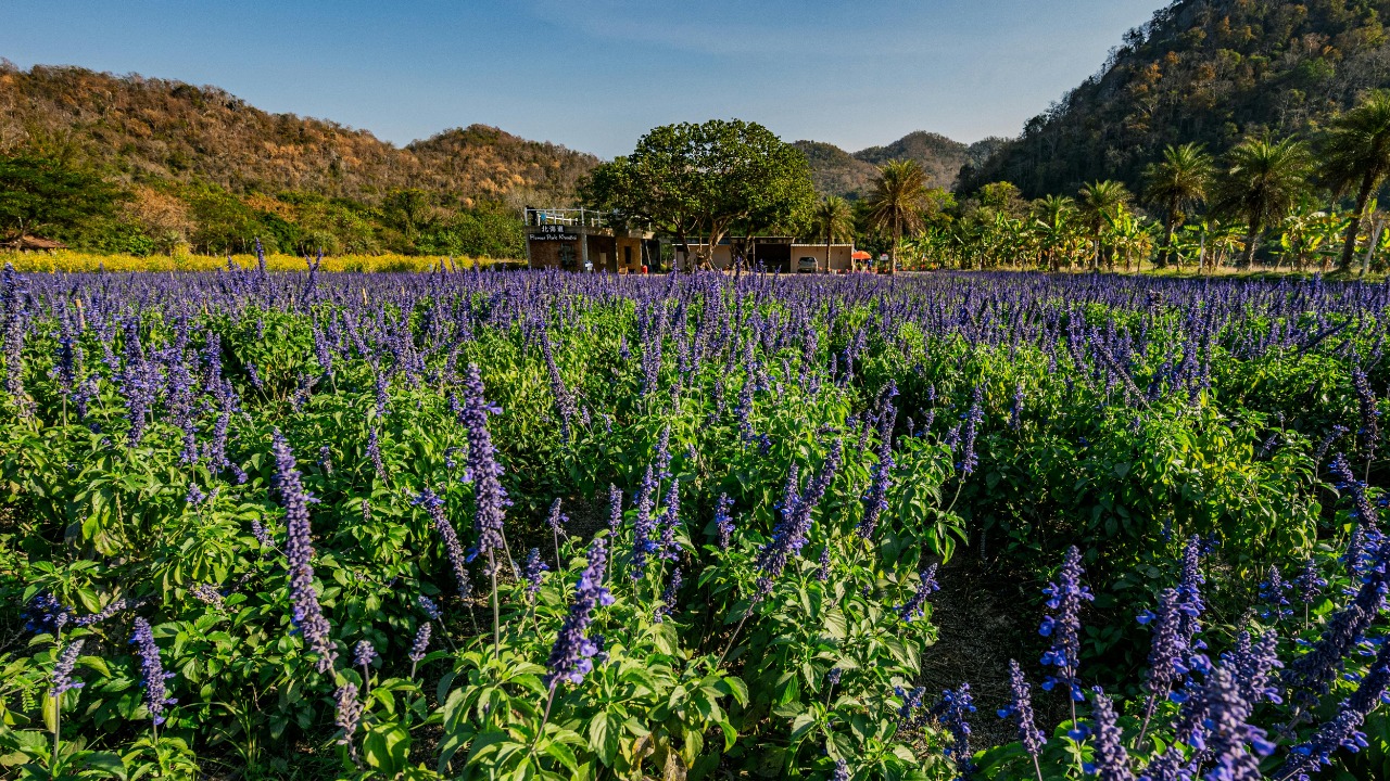 Optical Chemist/Pexels