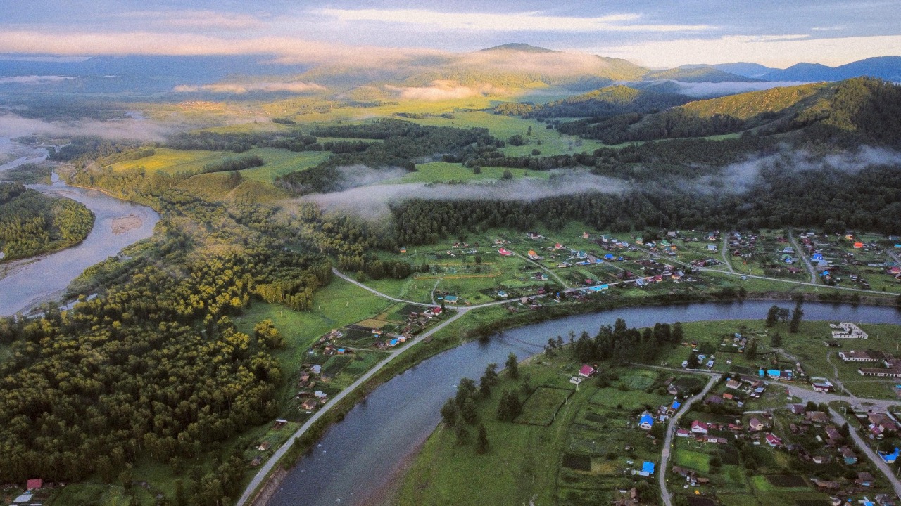 Dmitrii Eremin/Pexels