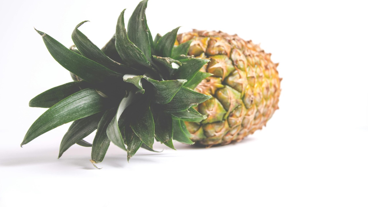 Ylanite Koppens/Pexels