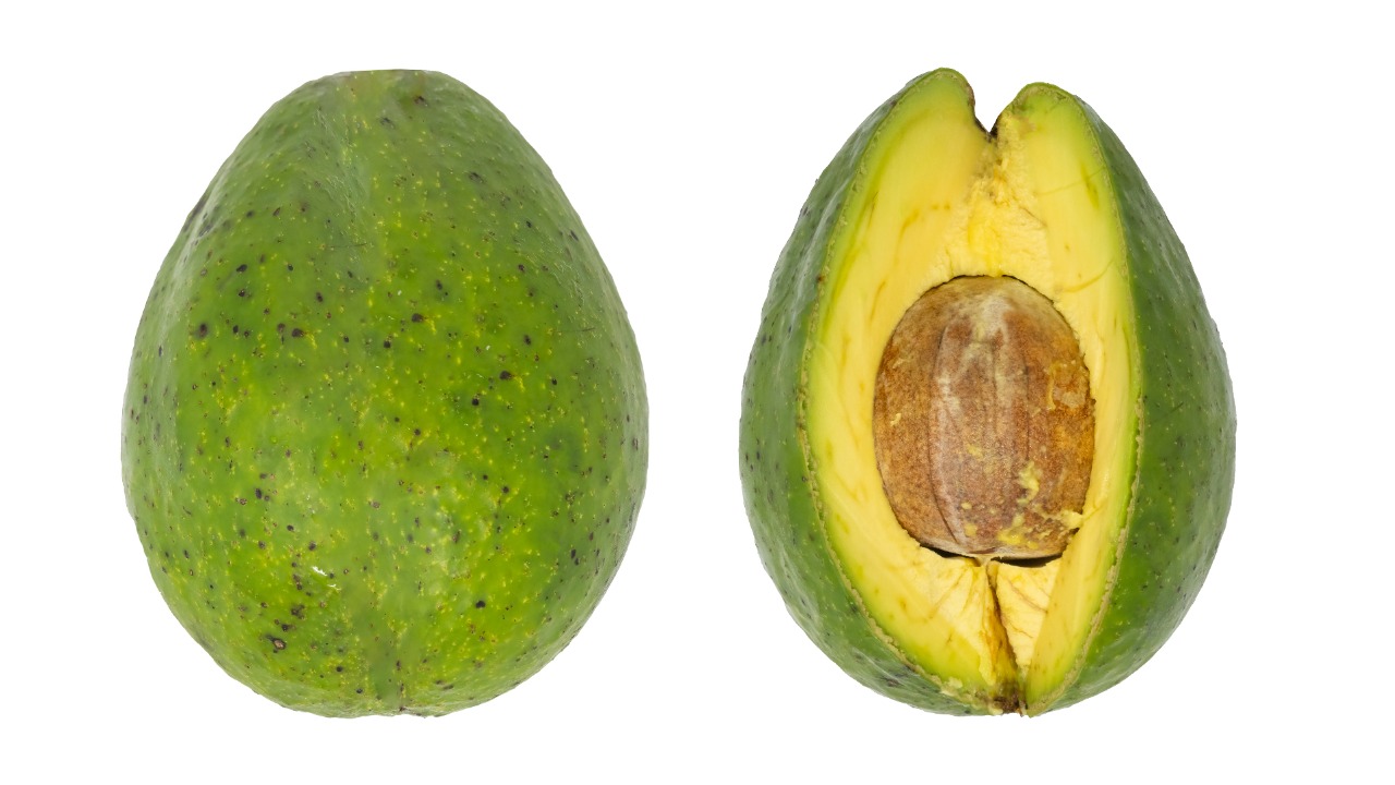 Image Credit: Wilfredo Rafael Rodriguez Hernandez - CC0/Wiki Commons