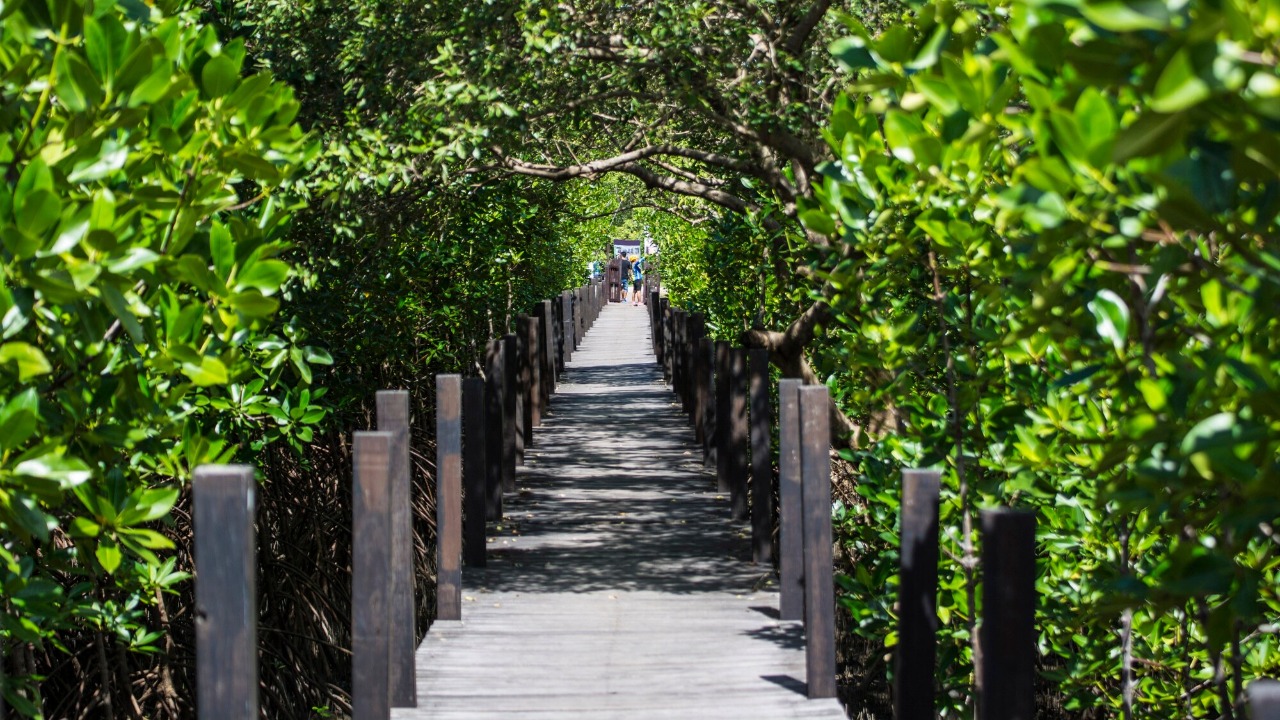 Image Credit: Shadle - CC BY-SA 3.0/Wiki Commons