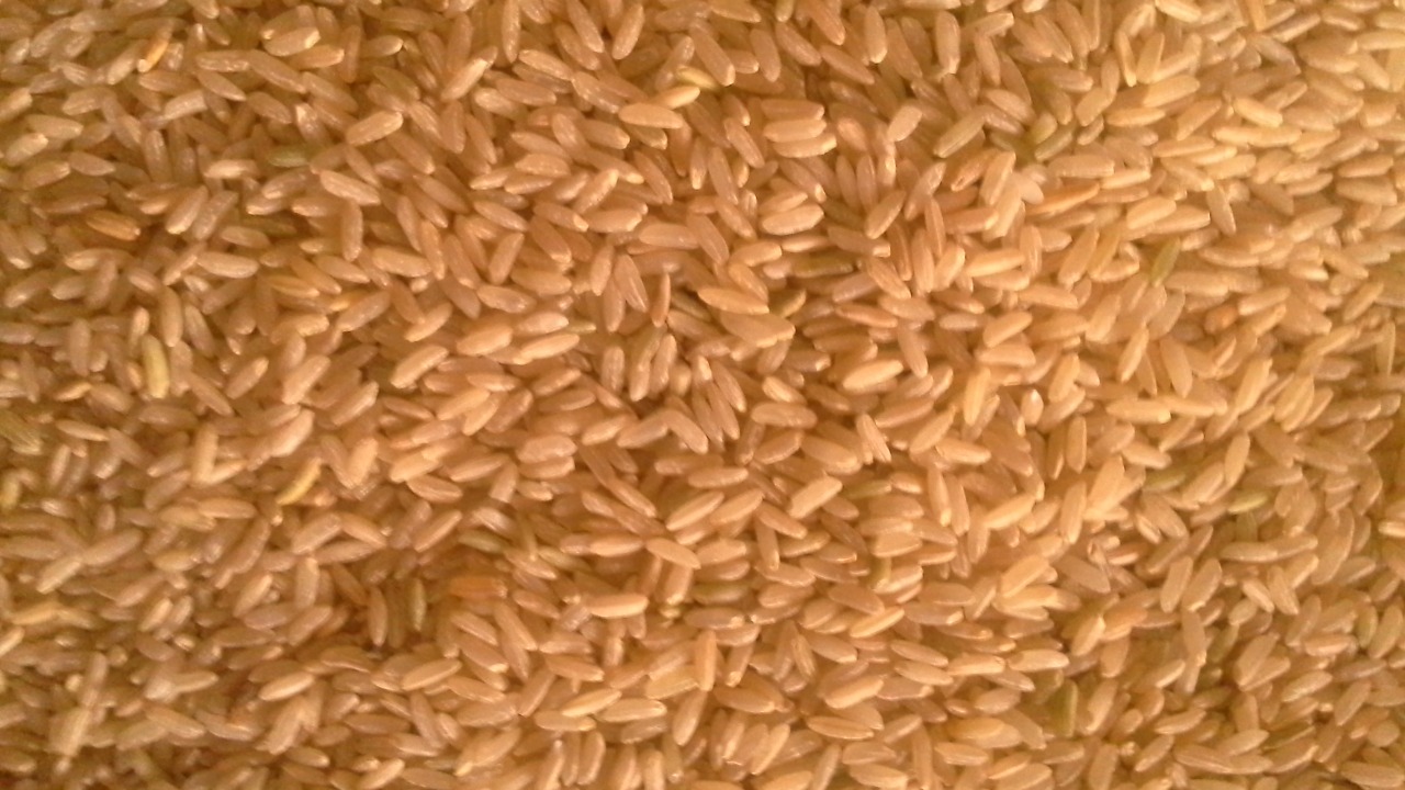 Image Credit: Adityamadhav83 - CC BY-SA 4.0/Wiki Commons