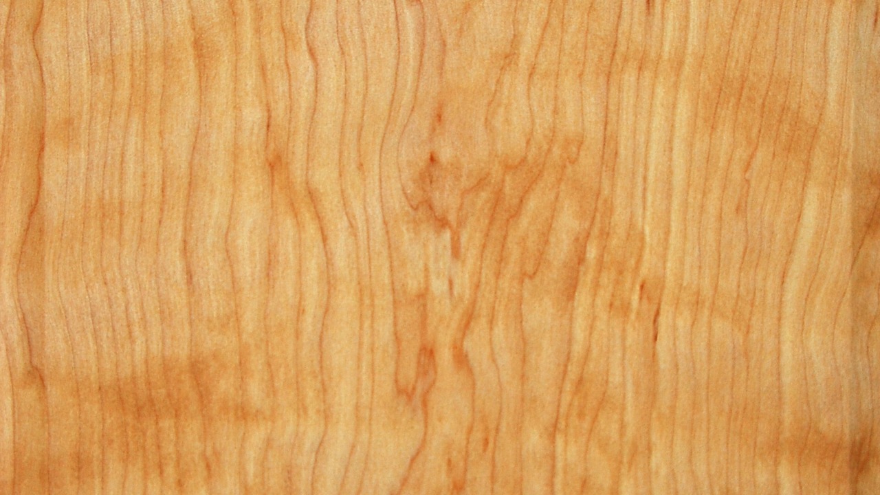 Image Credit: Bubba73 - CC BY-SA 3.0/Wiki Commons