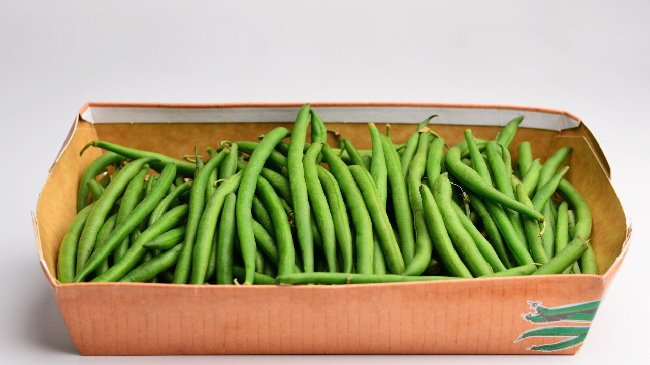 Image Credit: Freepik