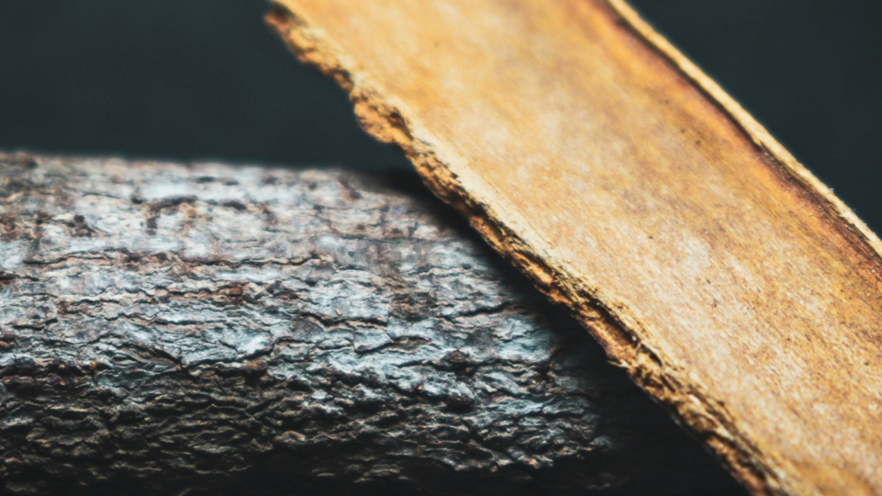 pixel_studios_nlr/Unsplash