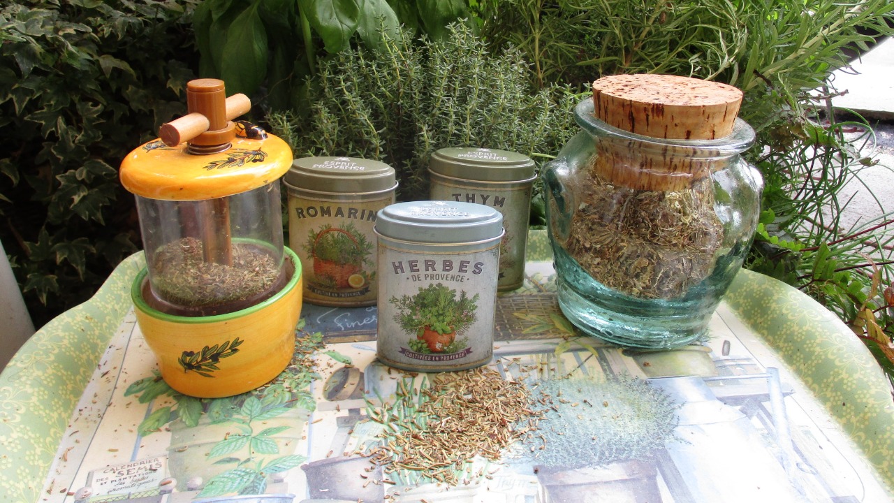 Image Credit: Arnaud 25 - CC BY-SA 4.0/Wiki Commons