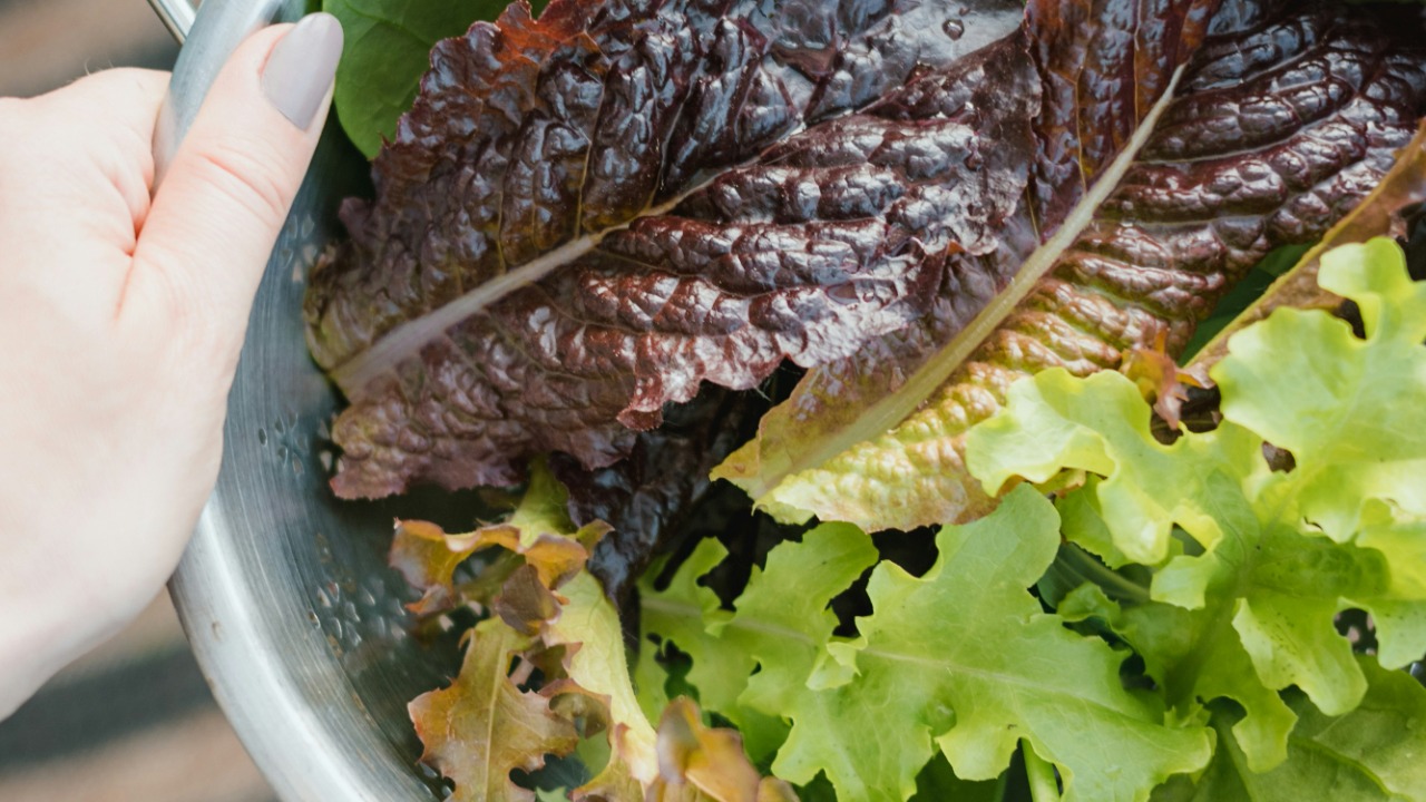 missmeg_mac/Unsplash