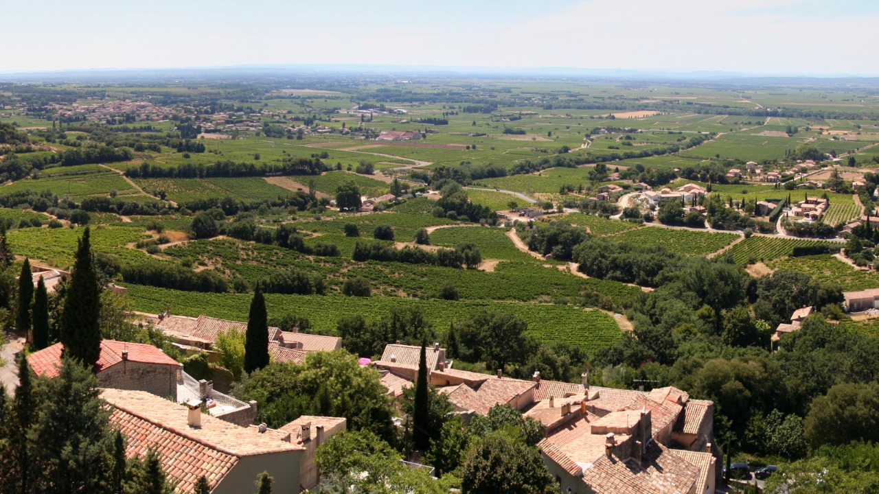 Image Credit: Angelo Michel - CC BY-SA 3.0/Wiki Commons