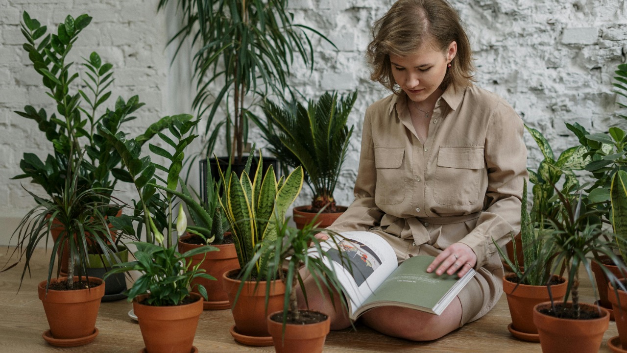 cottonbro studio/Pexels