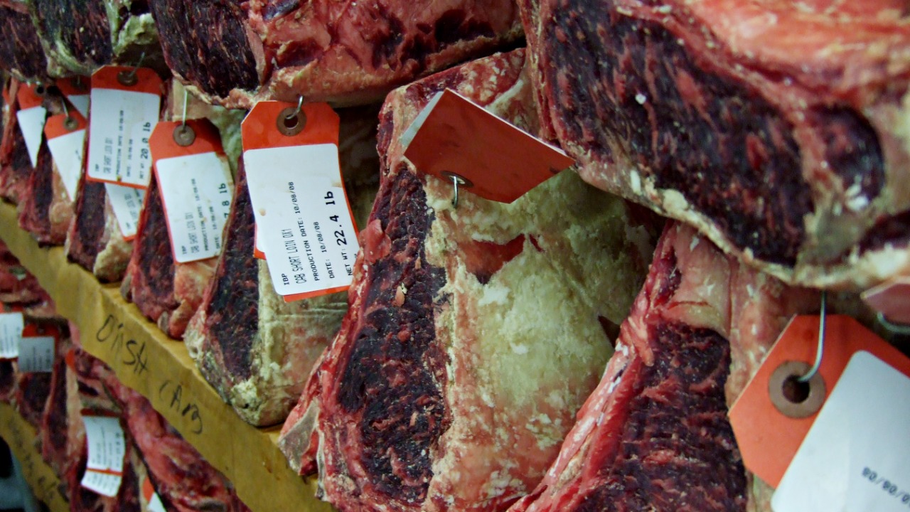 Image Credit: Filipe Fortes from United States - CC BY-SA 2.0/Wiki Commons