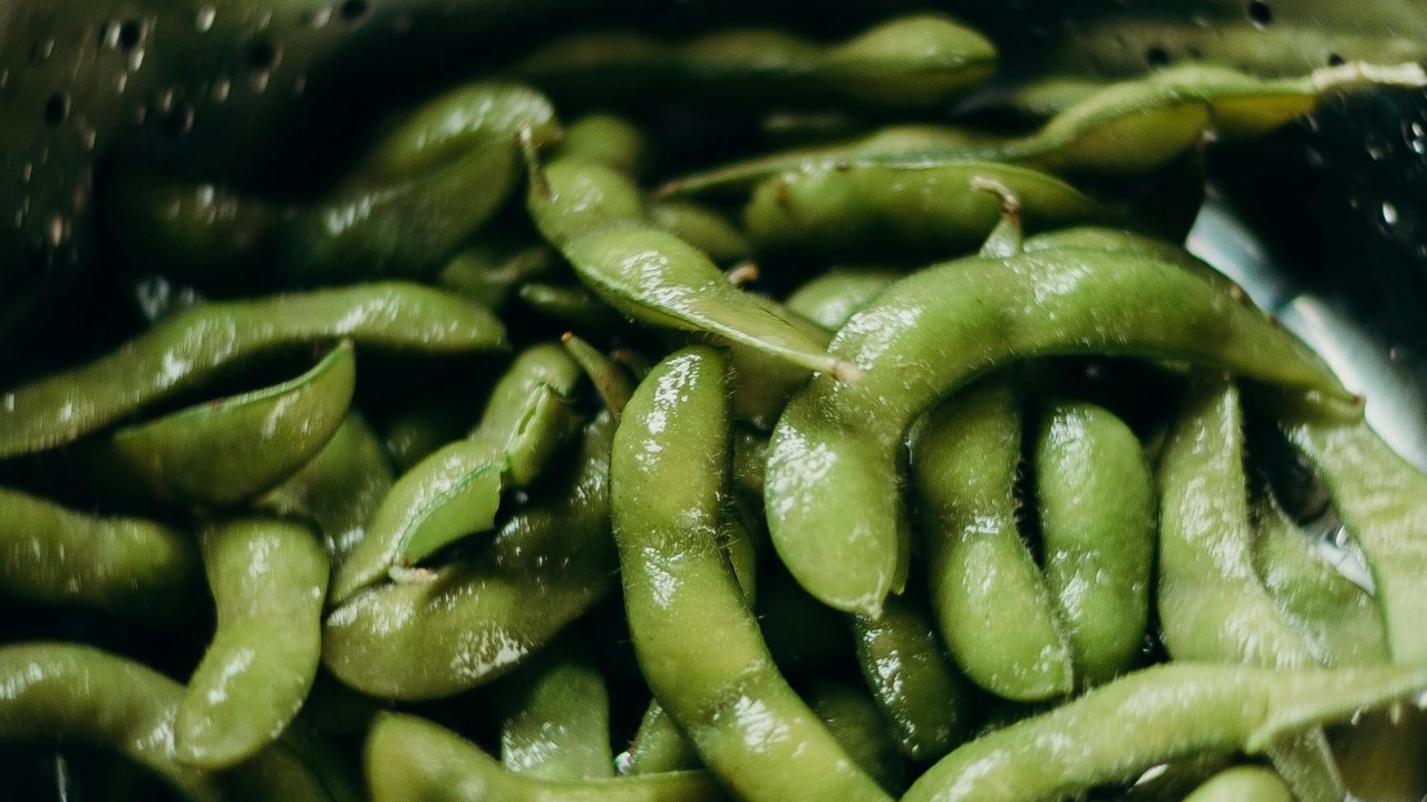 cottonbro studio/Pexels