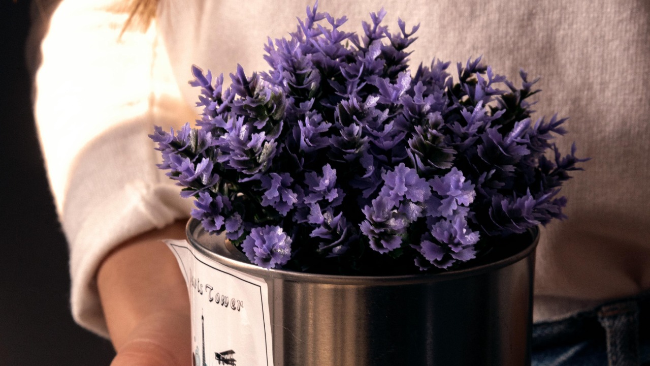 Irina Kapustina/Pexels