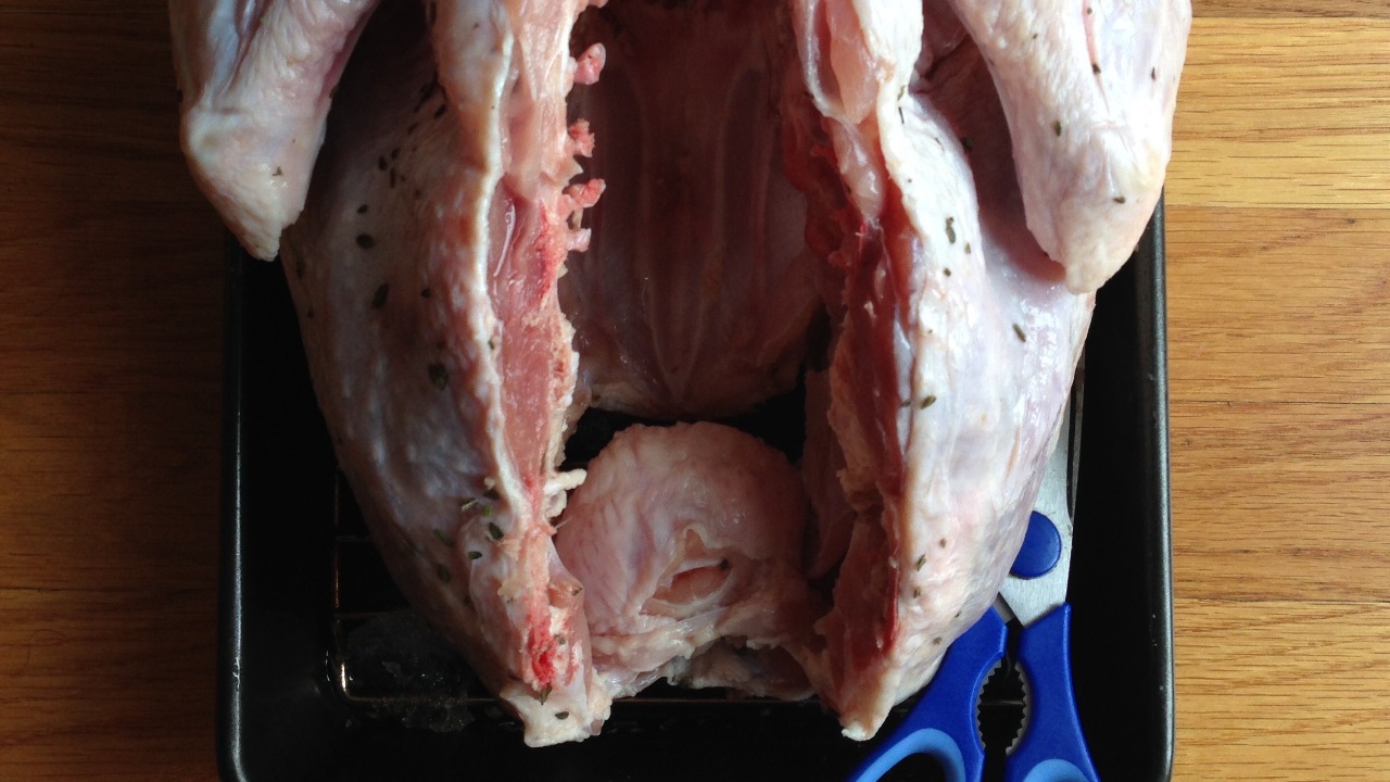 Image Credit: Joy - CC BY 2.0/Wiki Commons