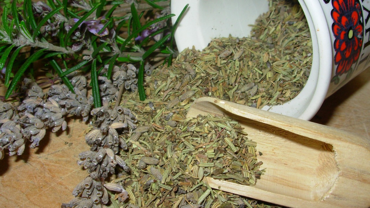 Image Credit: unknown - CC BY 2.0/Wiki Commons