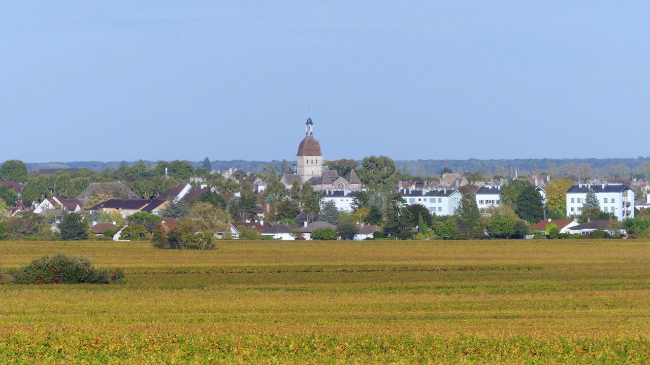 Image Credit: Florian Pépellin - CC BY-SA 4.0/Wiki Commons