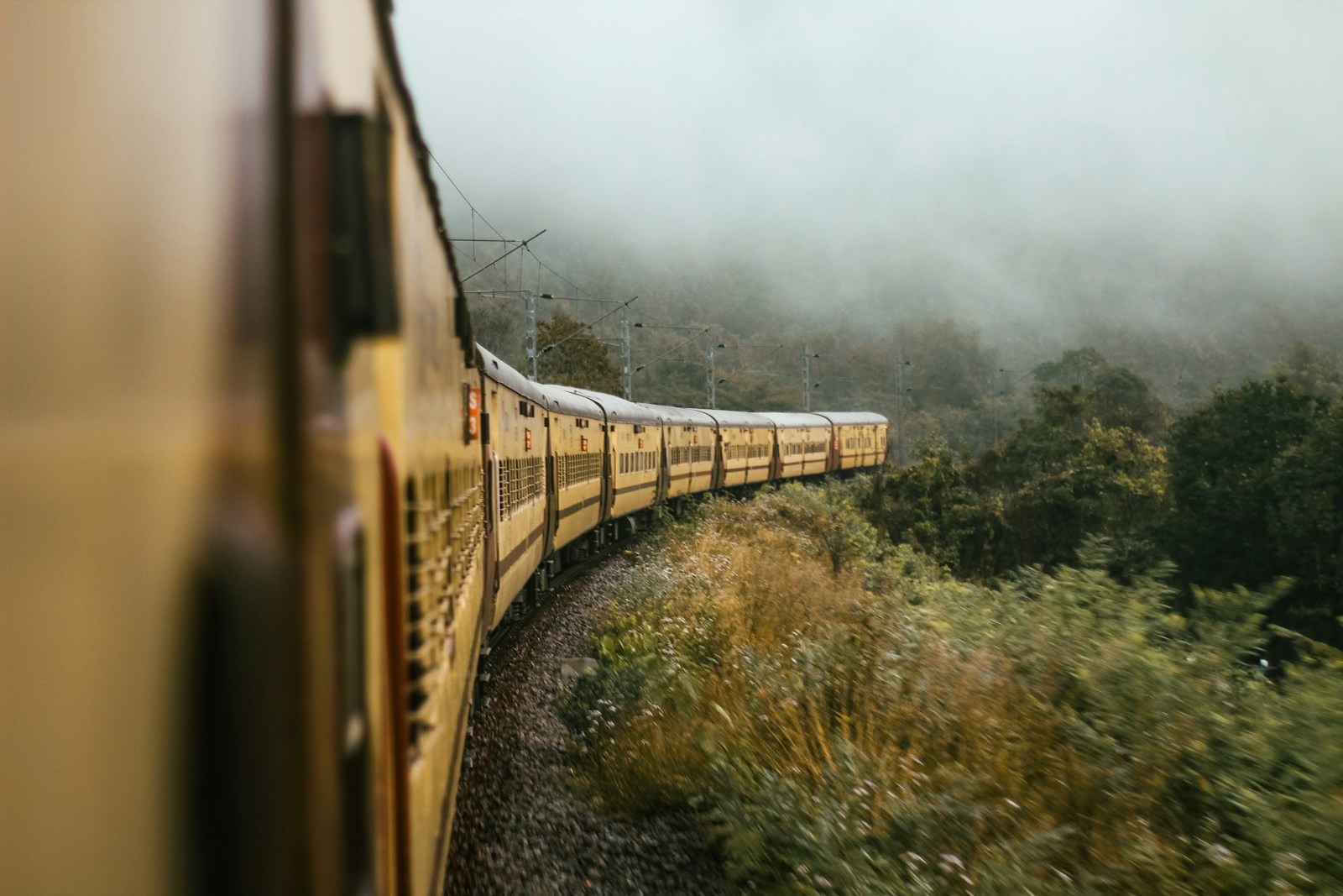 A train traveling through a lush green countryside
