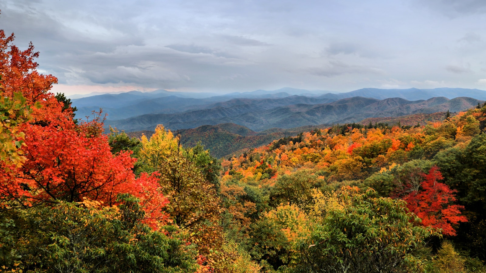 A scenic view of the mountains in autumn