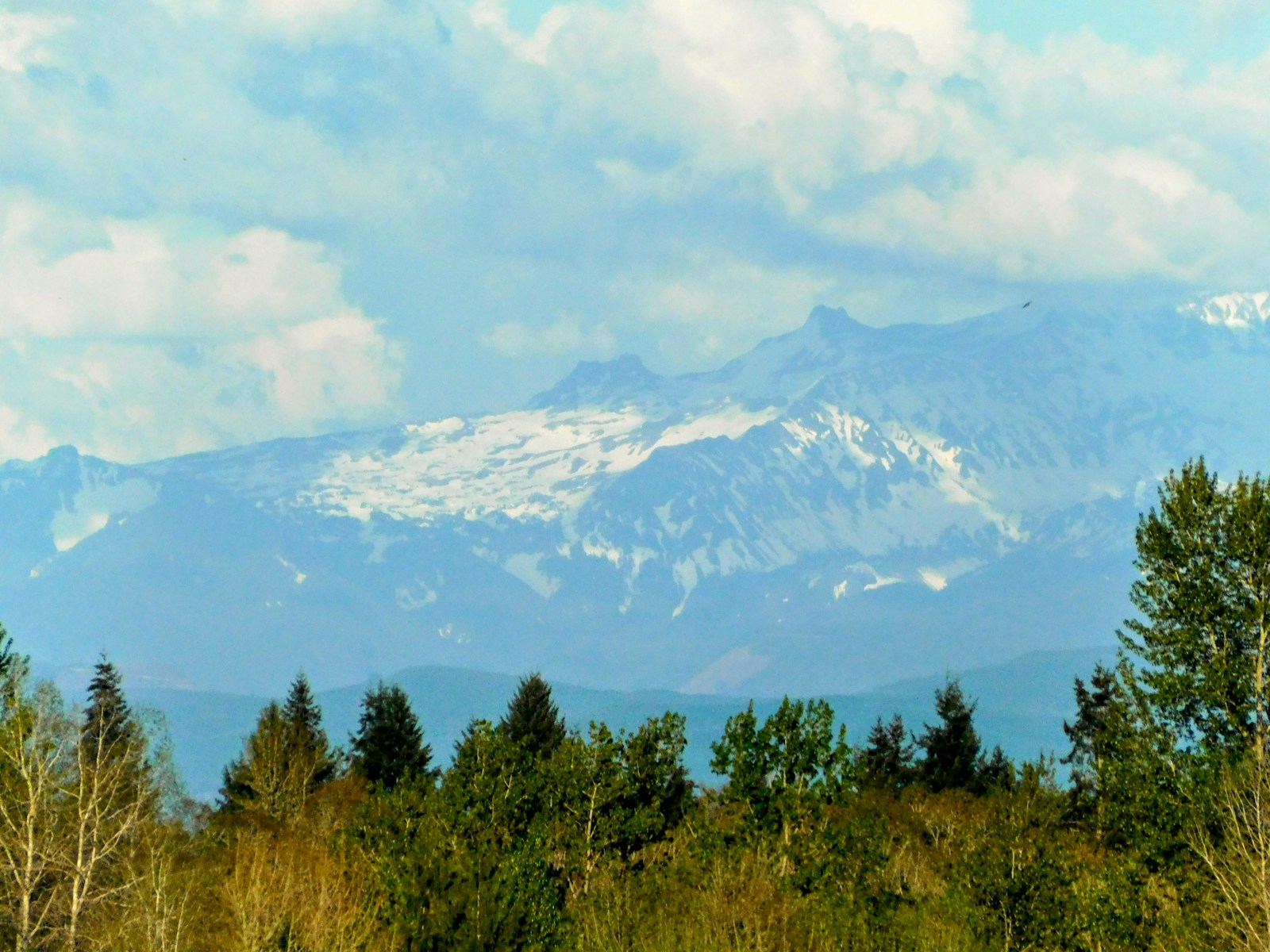 a view of a mountain range with trees in the foreground