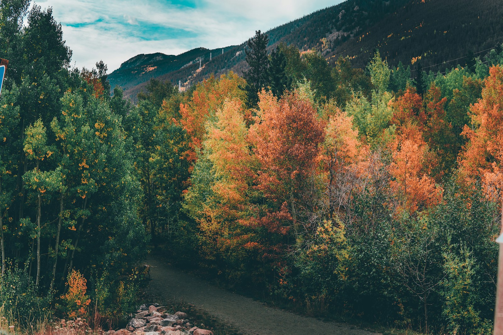 a scenic view of a wooded area with a sign in the foreground