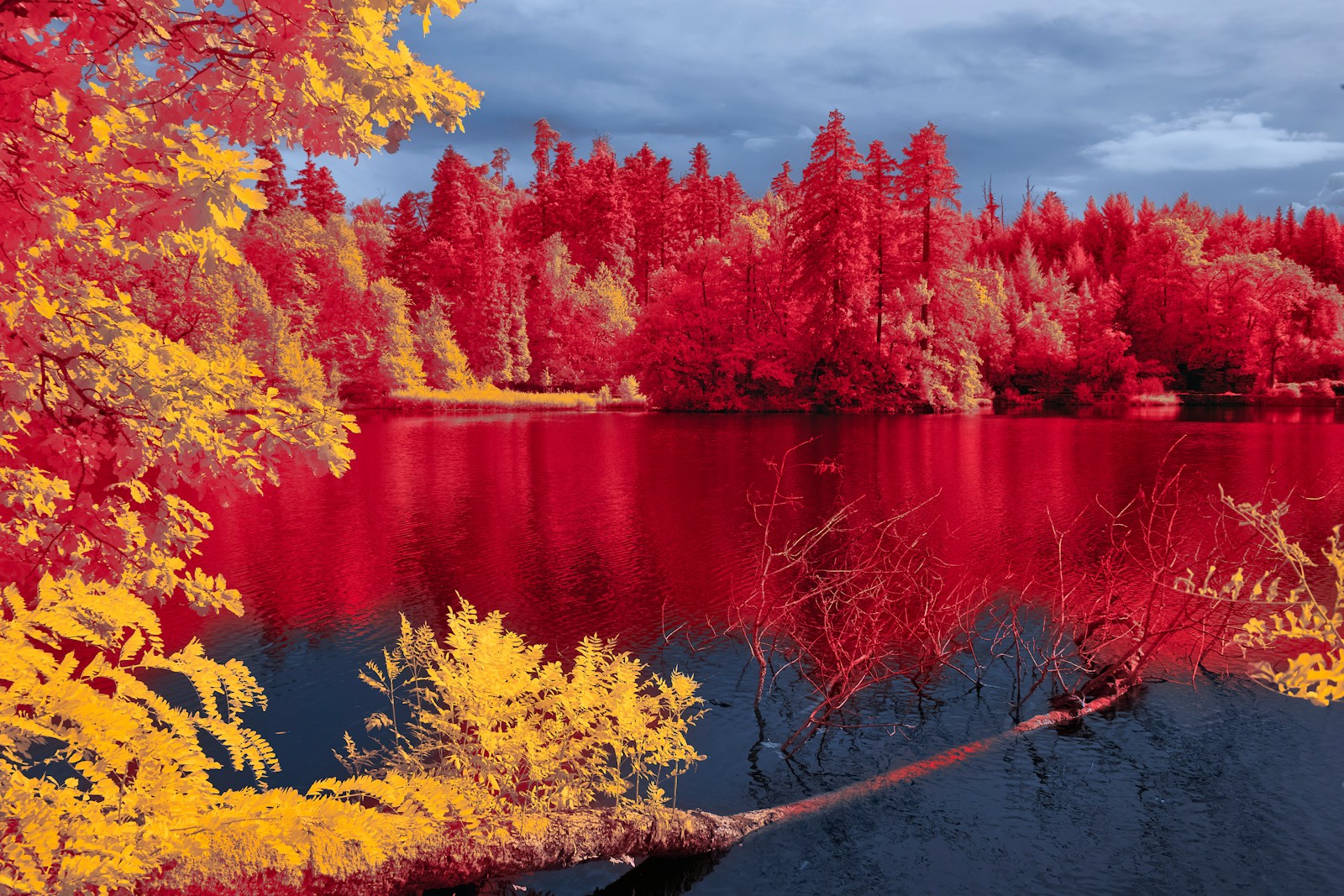 a lake surrounded by trees