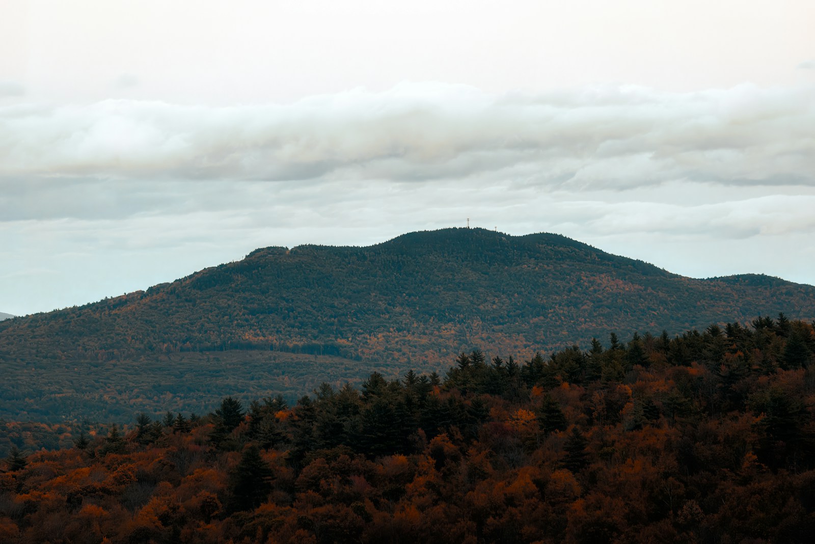 A view of a mountain range with trees in the foreground
