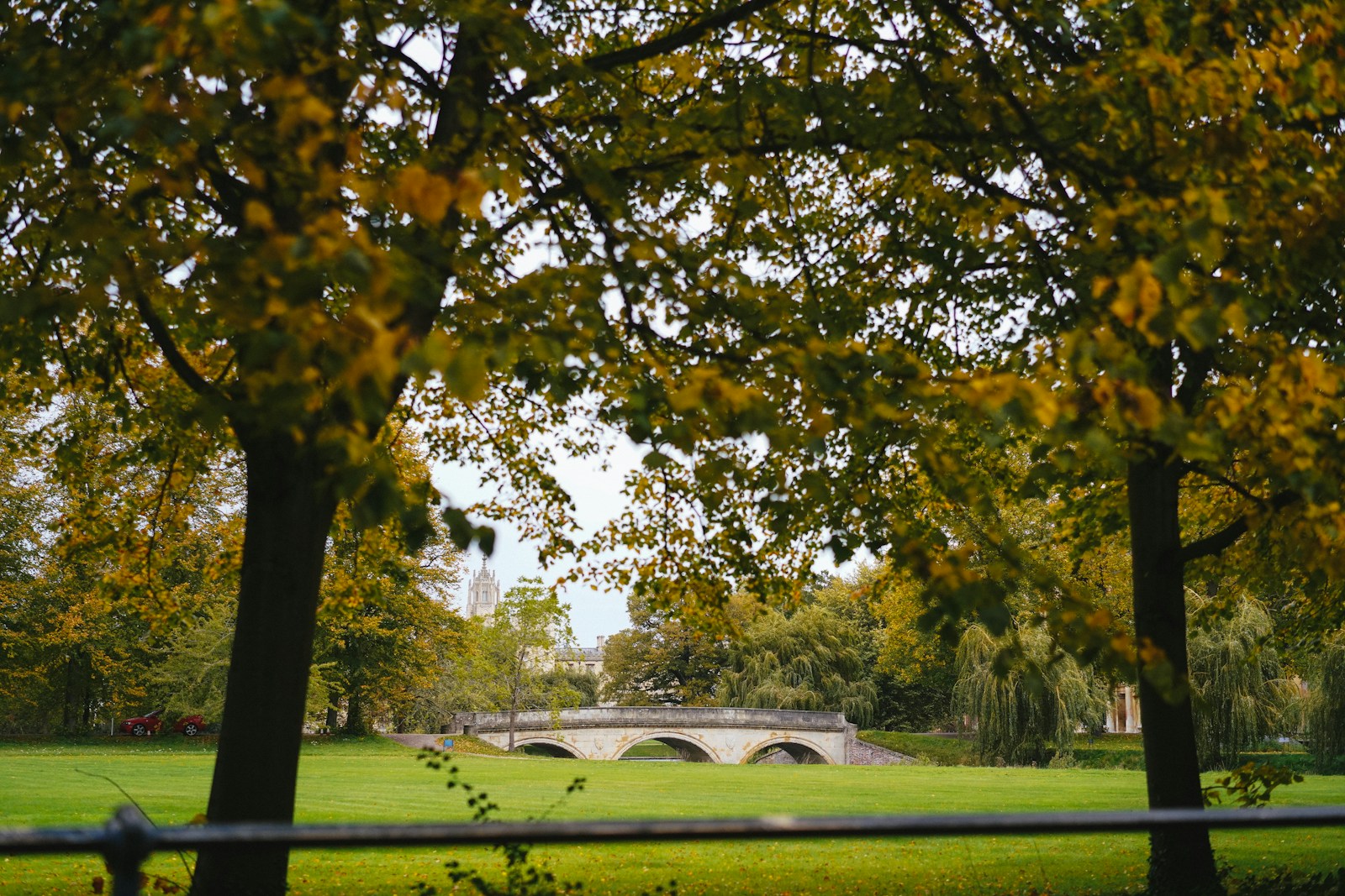 green grass field with trees during daytime