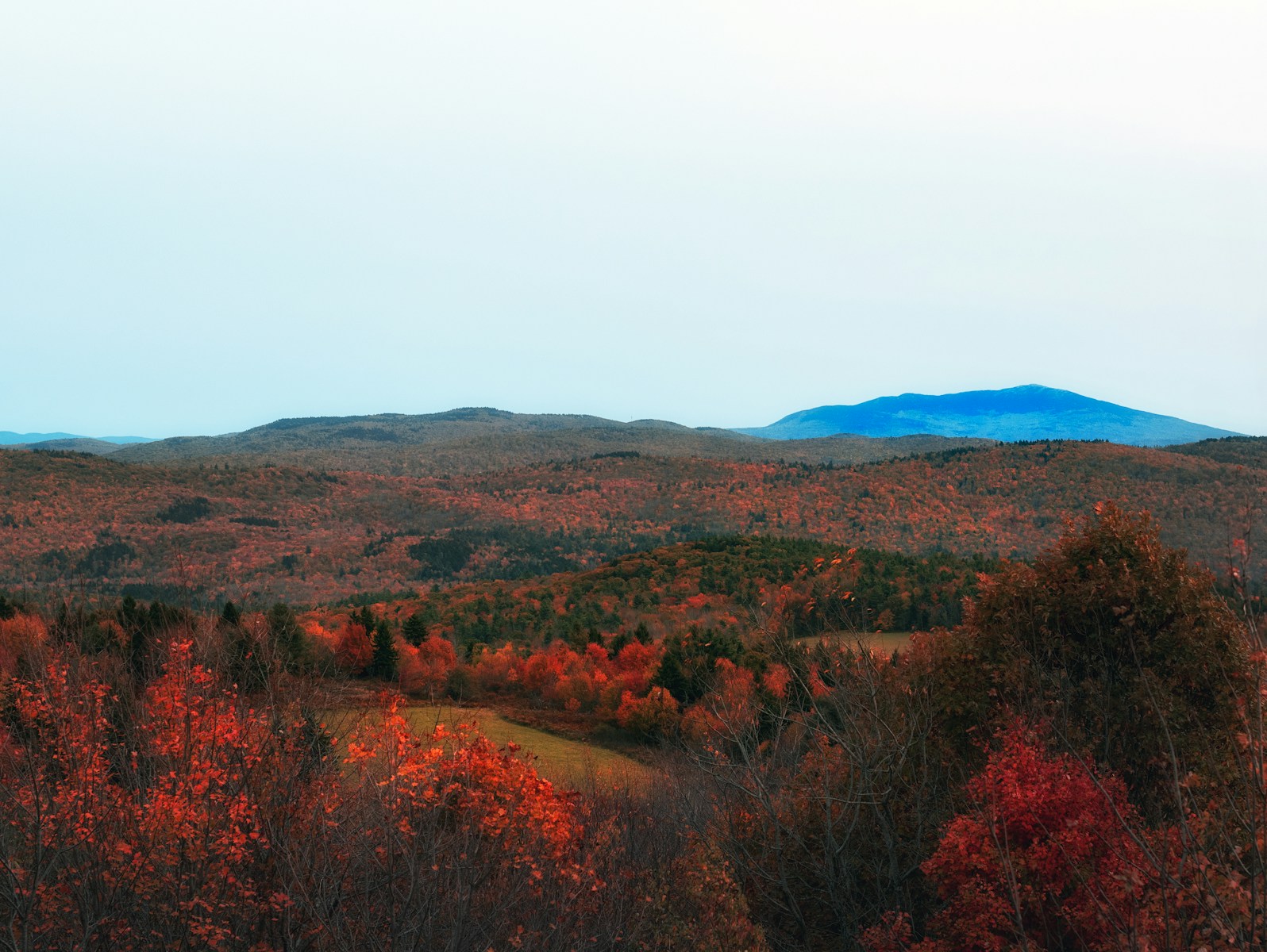 A view of a field with trees and mountains in the background