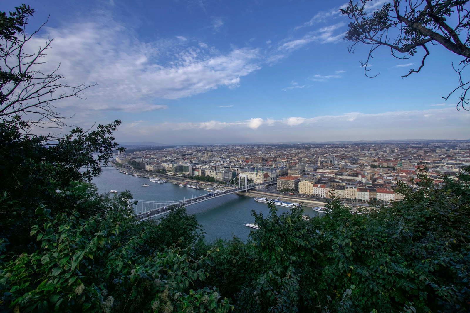 a view of a city and a bridge from a hill