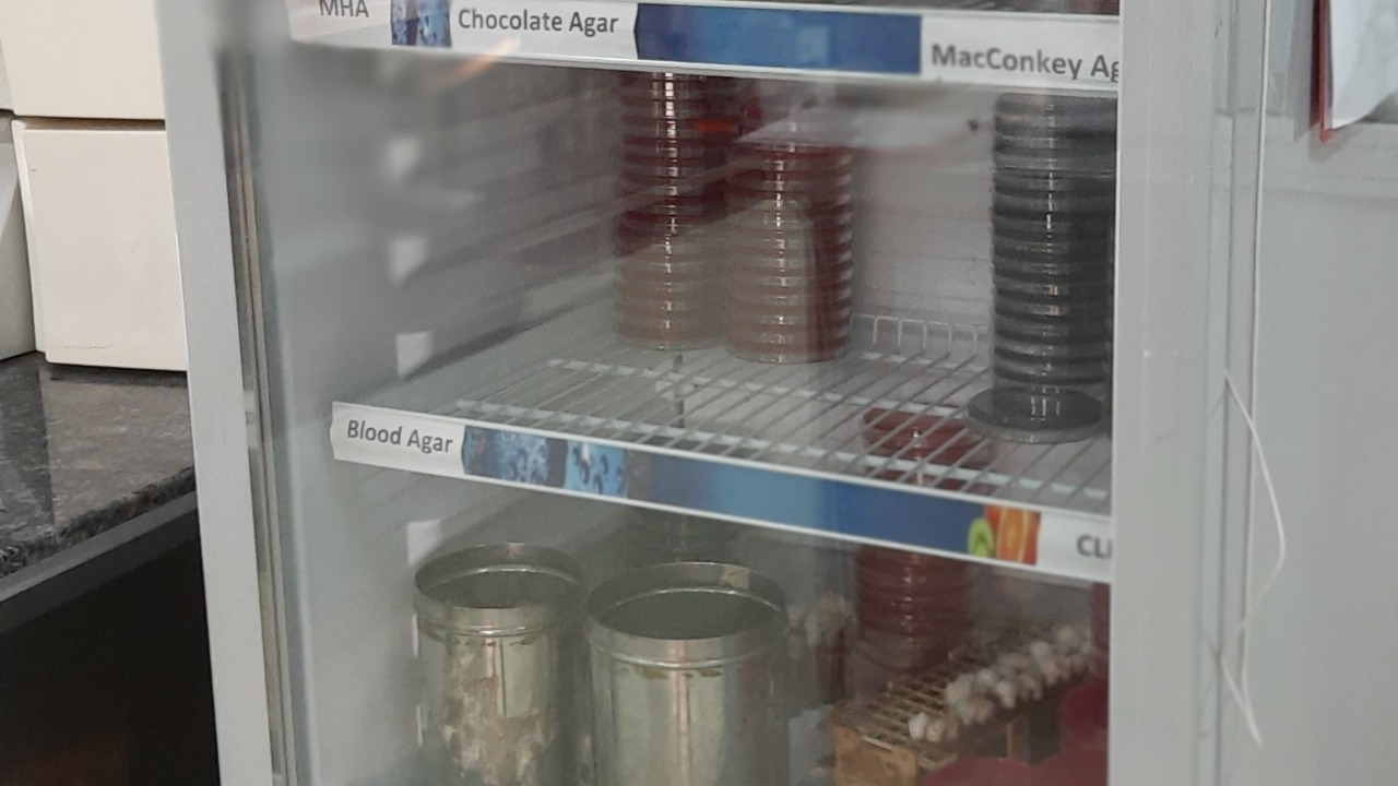 Image Credit: Ajay Kumar Chaurasiya - CC BY-SA 4.0/Wiki Commons