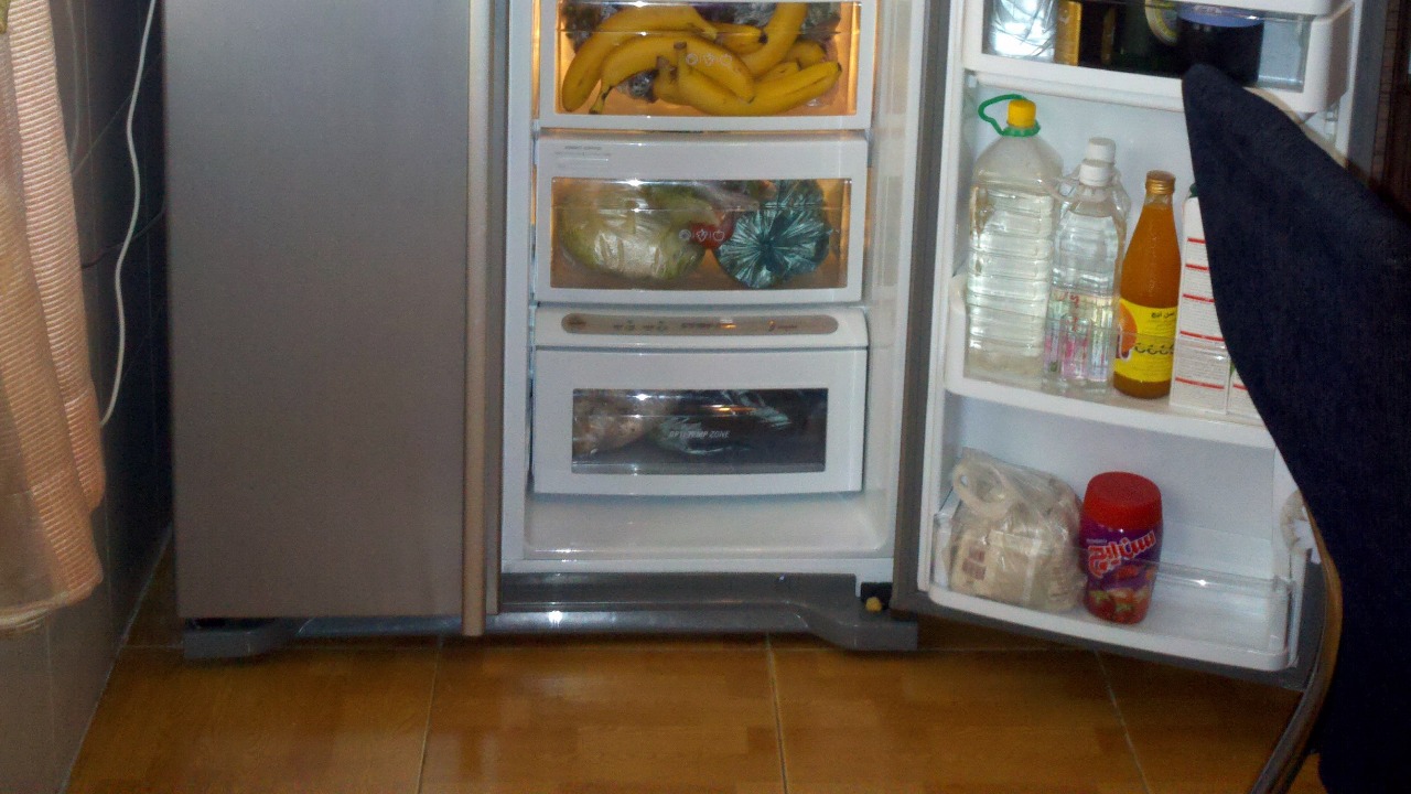 Image Credit: Milad Mosapoor - Attribution/Wiki Commons