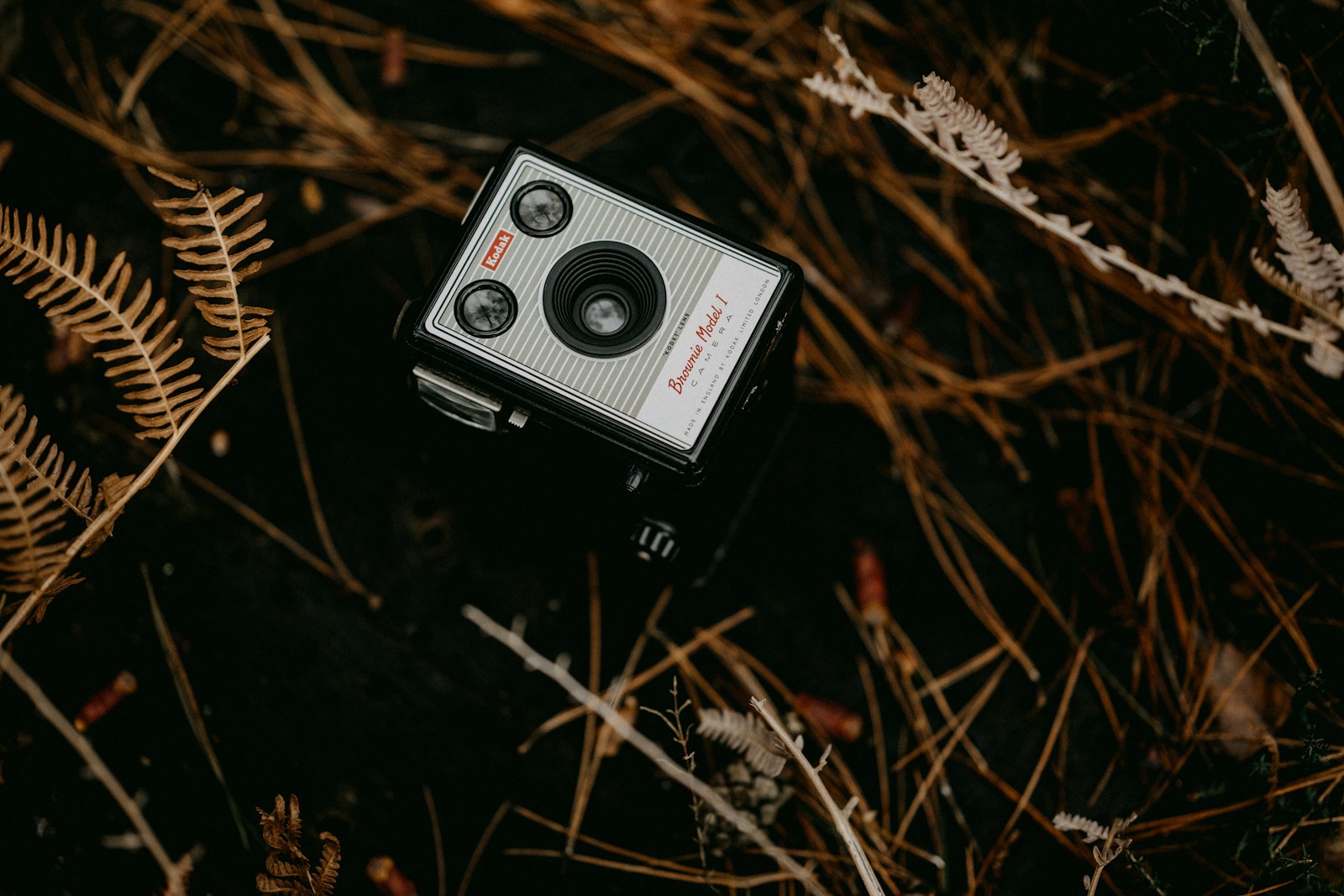 an old camera is sitting in the grass