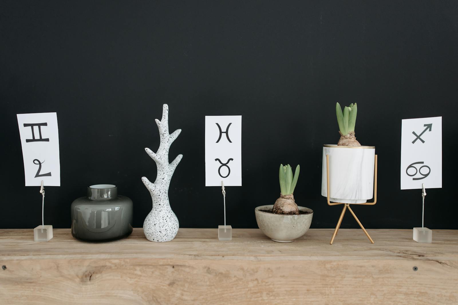 Modern decor featuring potted plants and zodiac symbols on a wooden table with a stylish touch.