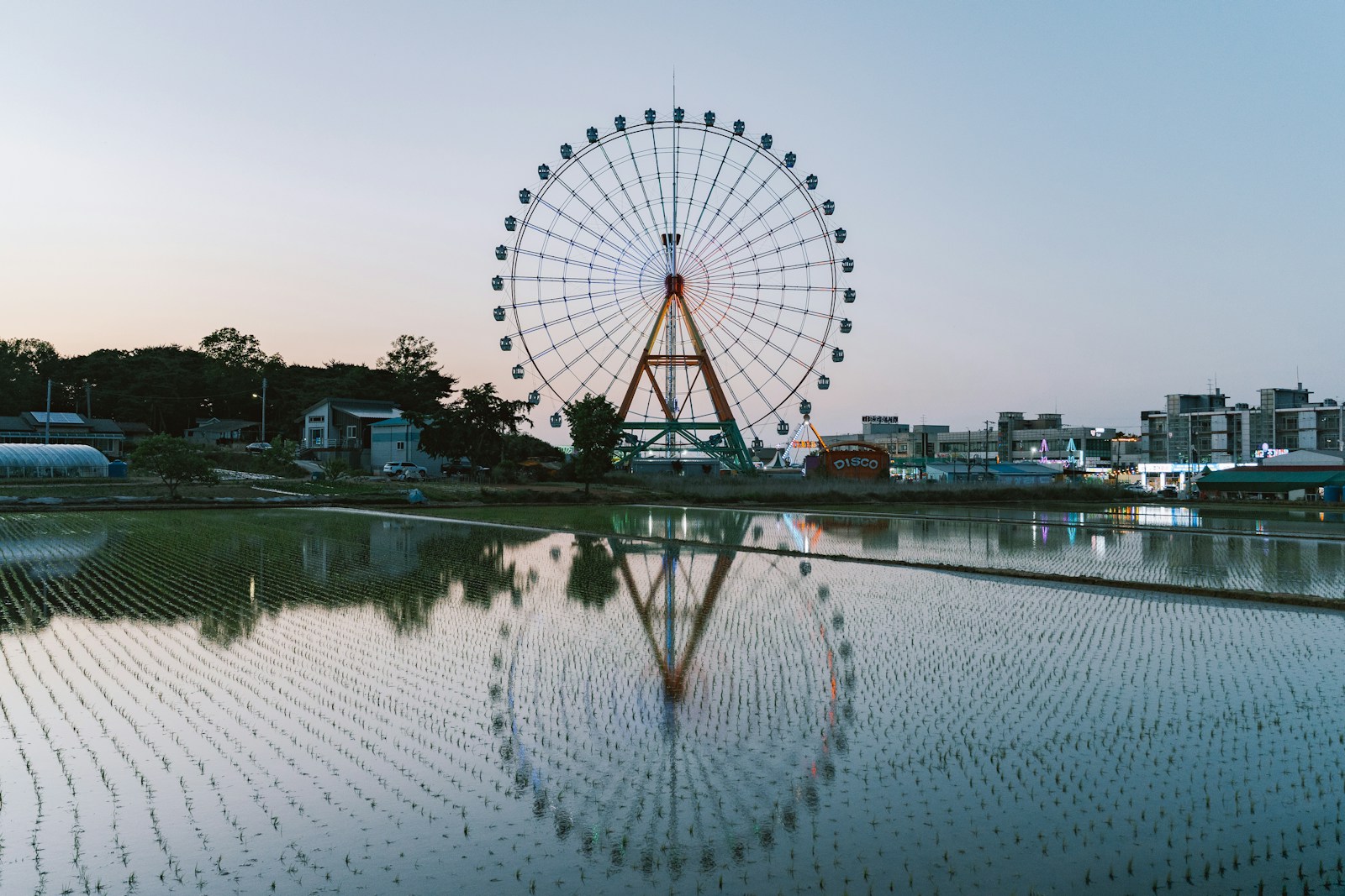 Ferris wheel reflected in water at dusk
