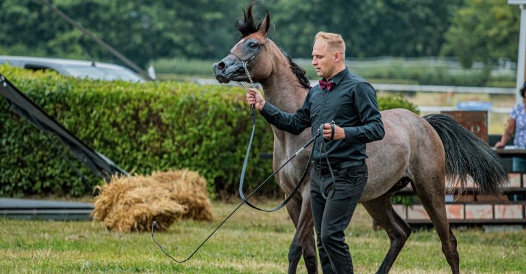 6 Behaviors That Show You Grew Up With Unpredictable Care