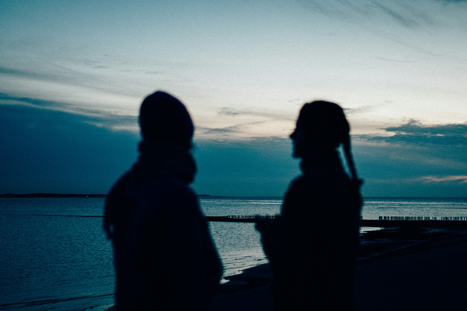 Two people silhouetted against a twilight sky